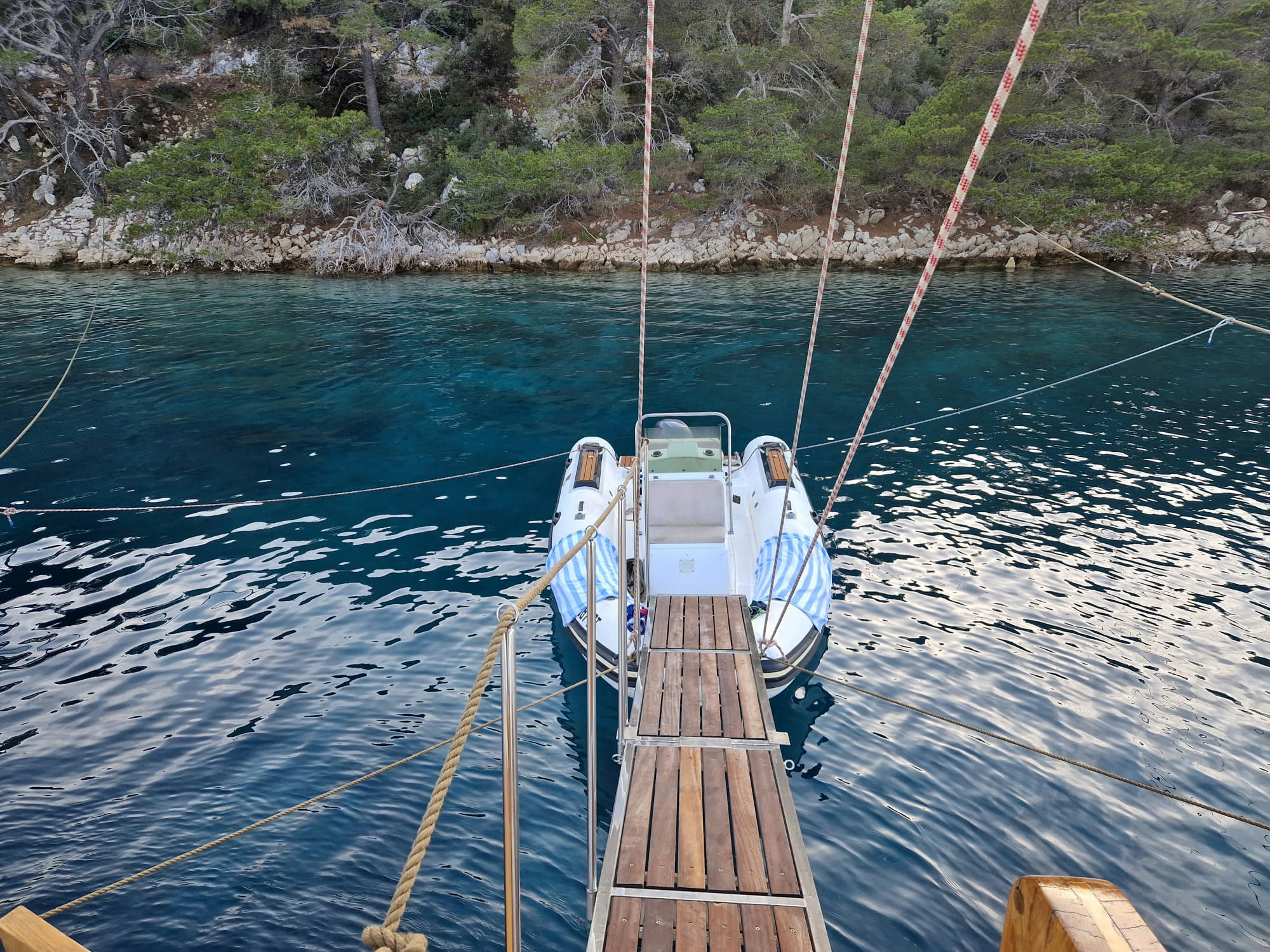 Exterior MSY ARDURA image 23