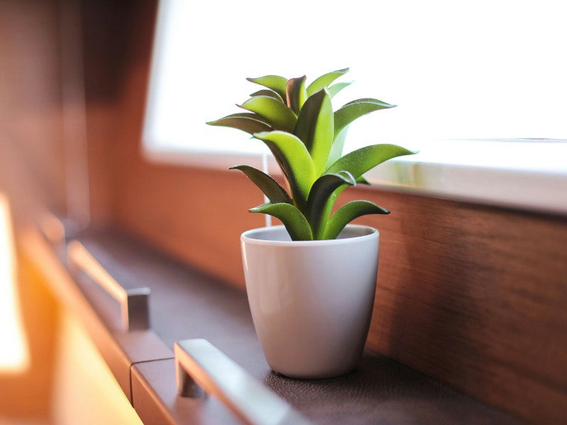 Interior Lagoon 620 image 19