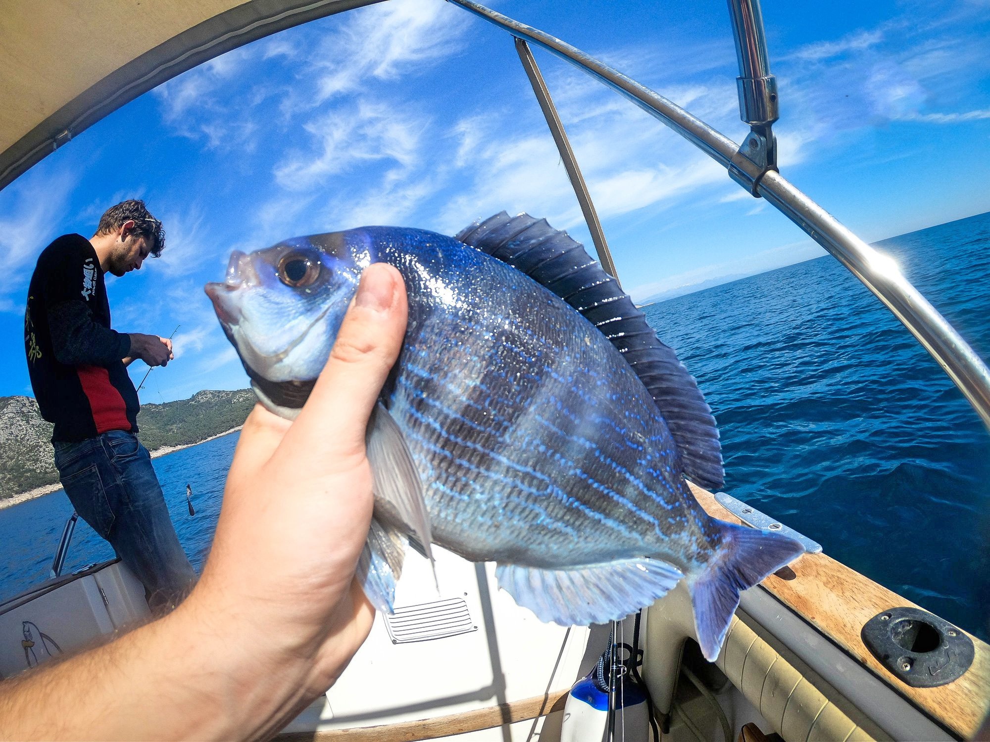 Catch of the day cover image 2