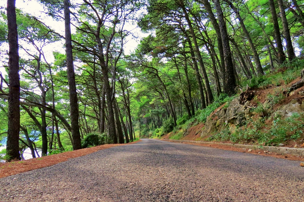 Day trip to Mljet island inline image 3