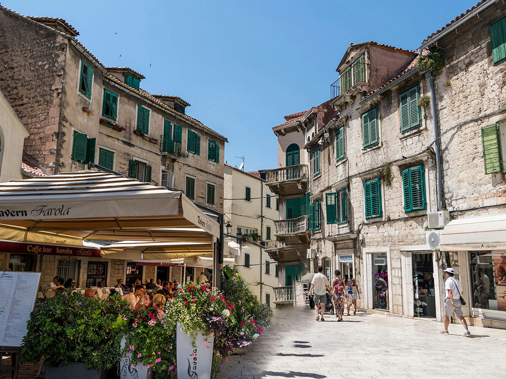 Dalmatians: The people article cover