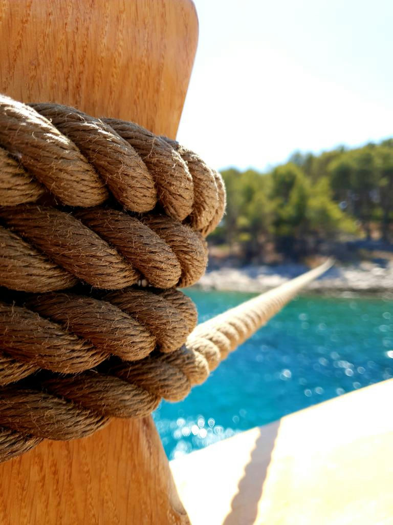 Exterior MSY ARDURA image 22