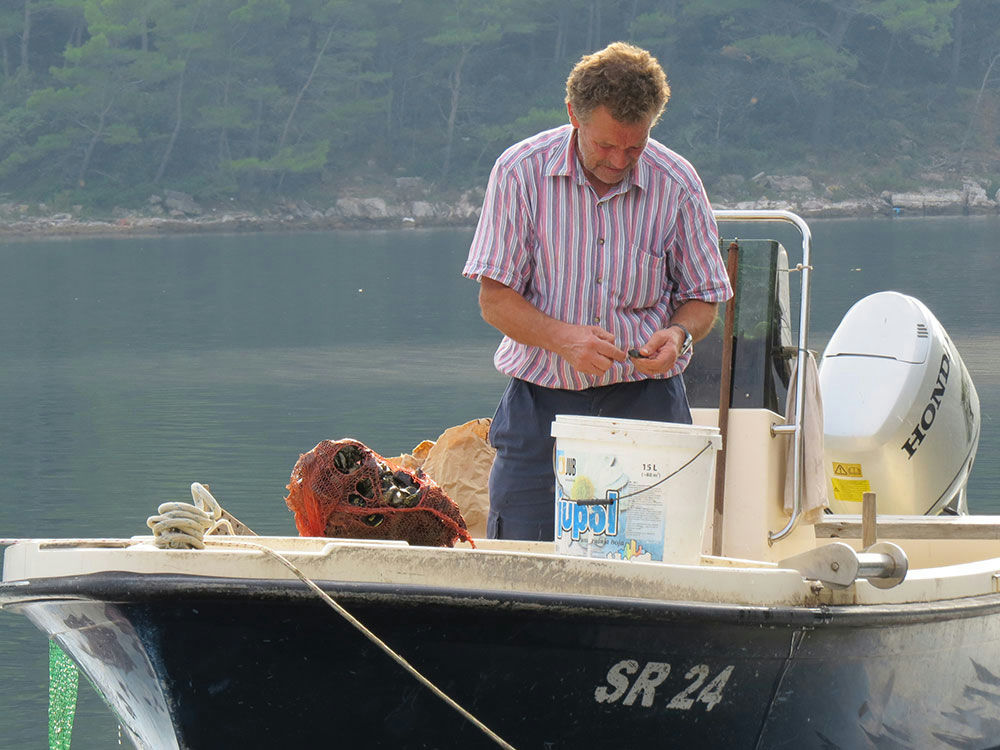 Fisherman on mljet island