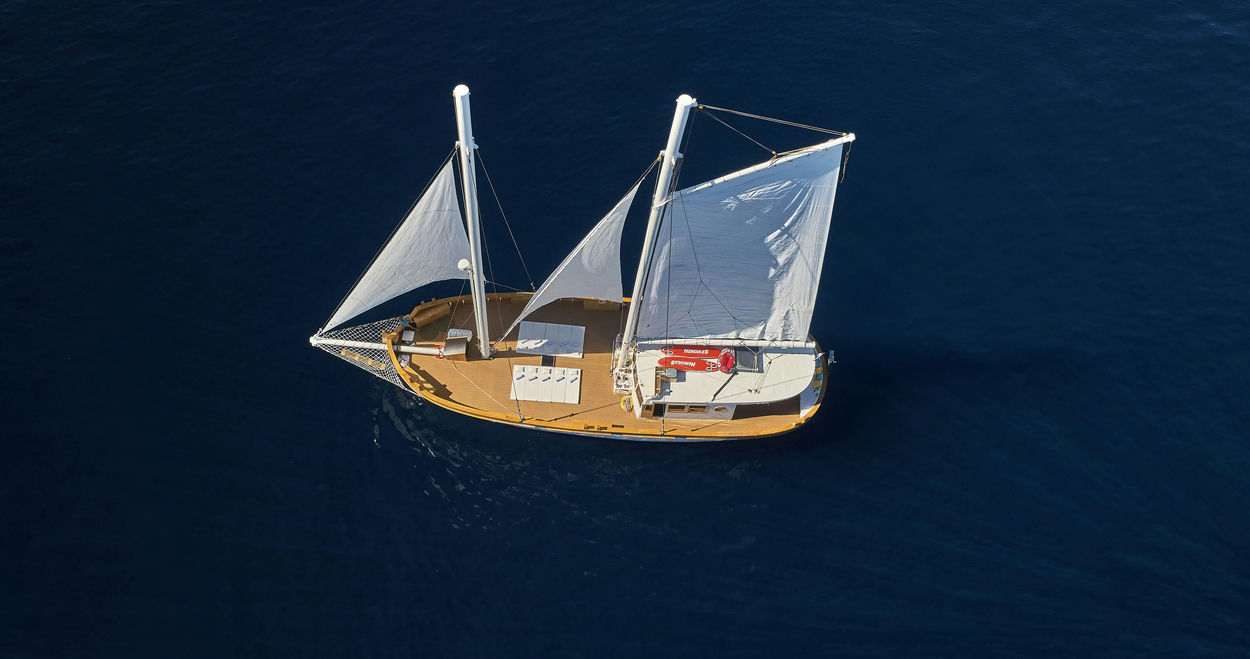 Exterior MSY ARDURA image 2