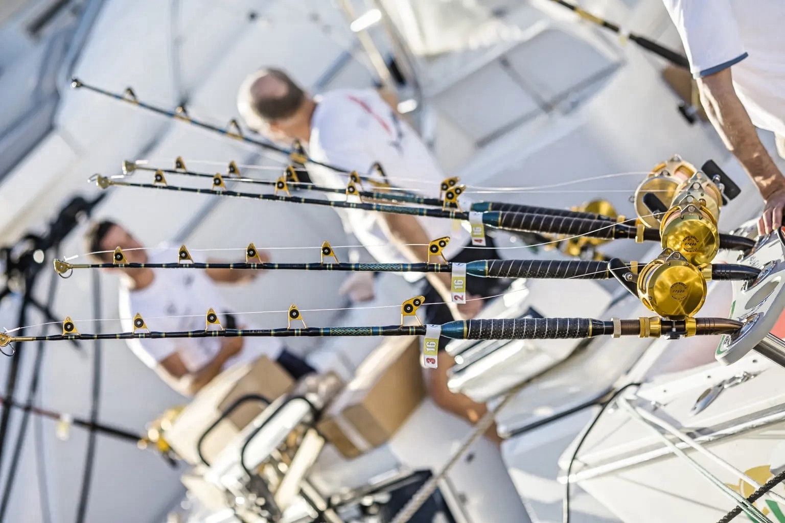 Big game fishing experience cover image