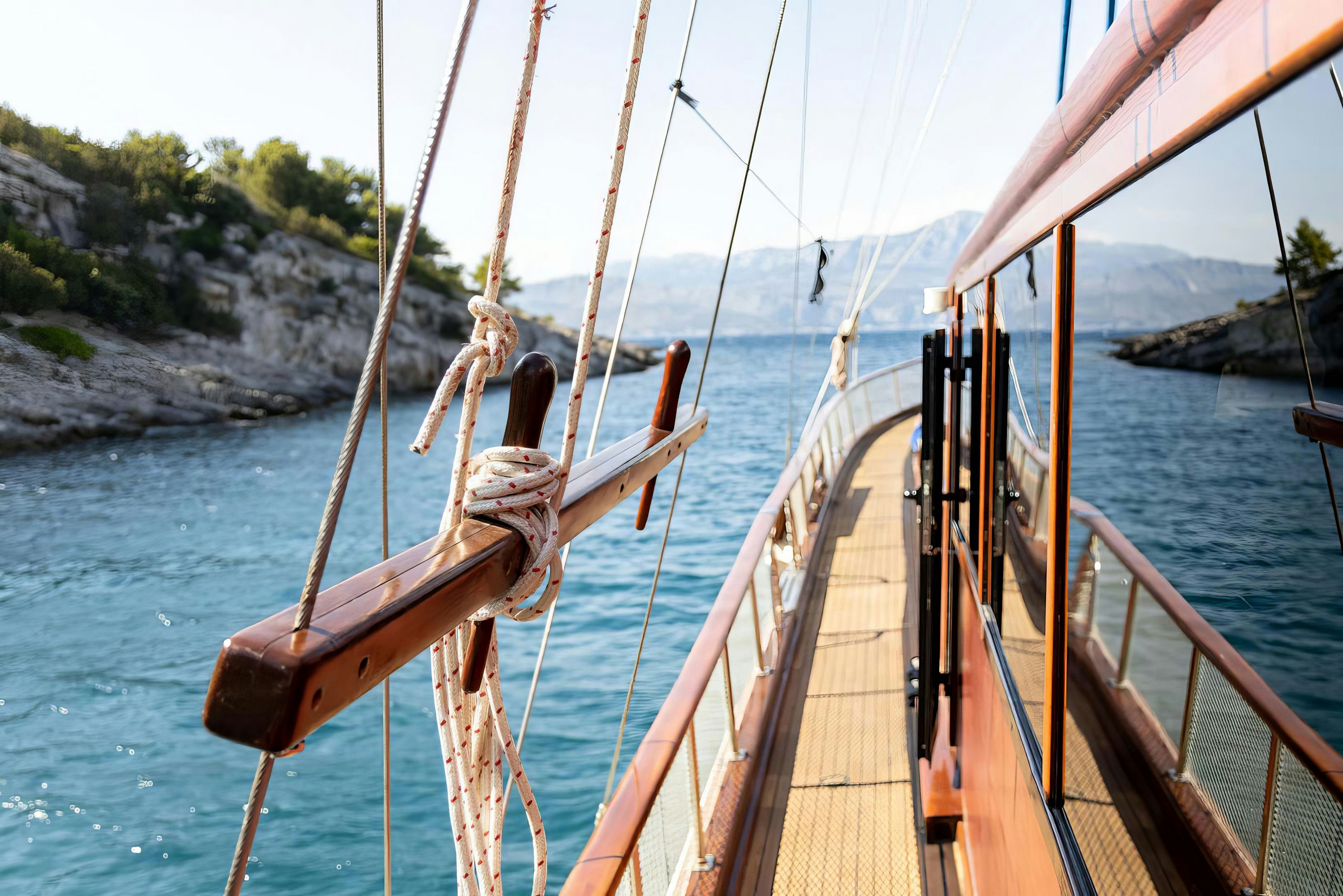 Exterior ELEGANZA image 4