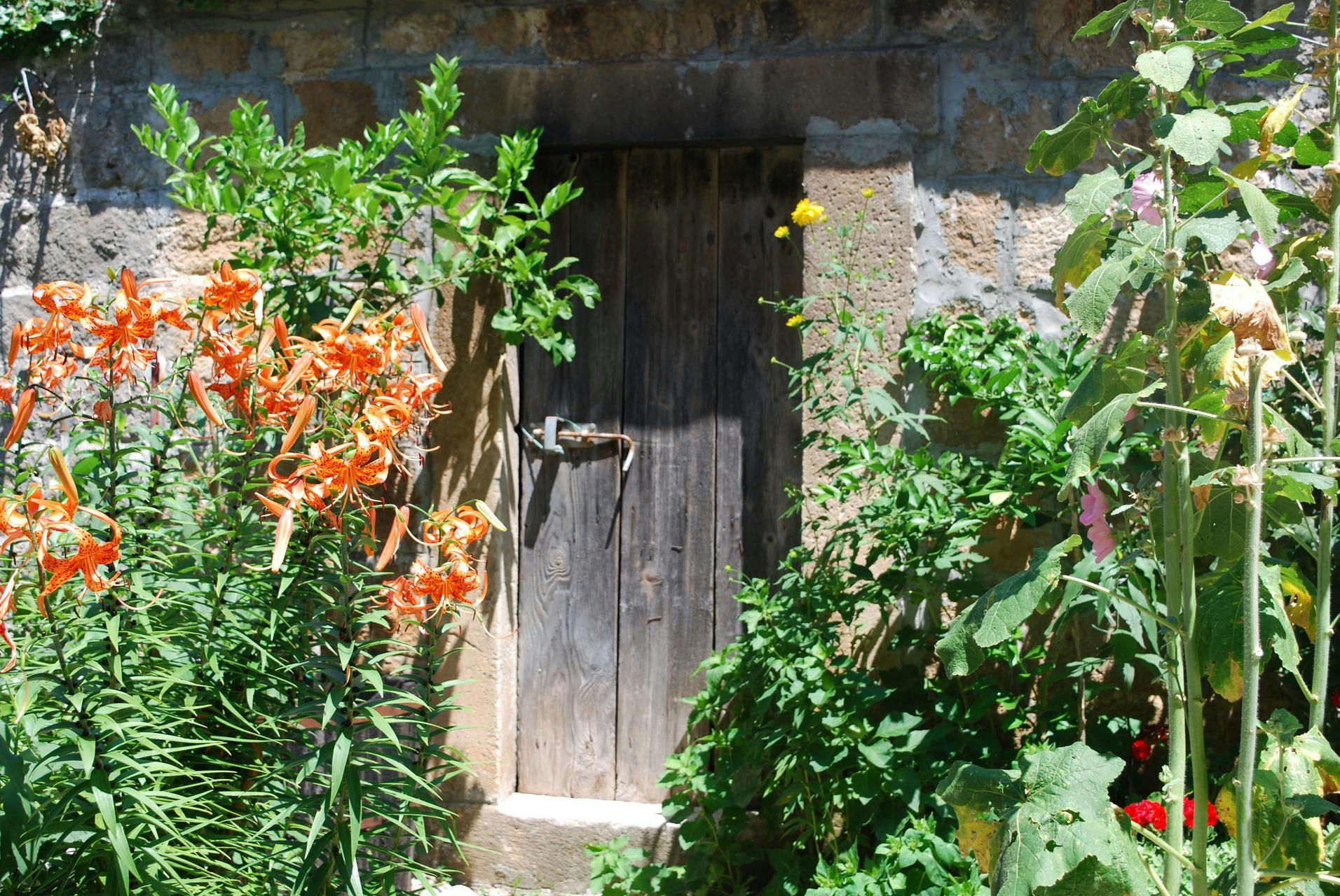 Lastovo Dubrovnik charter 1