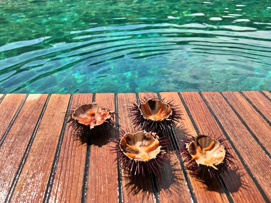 Day trip Dubrovnik Charter