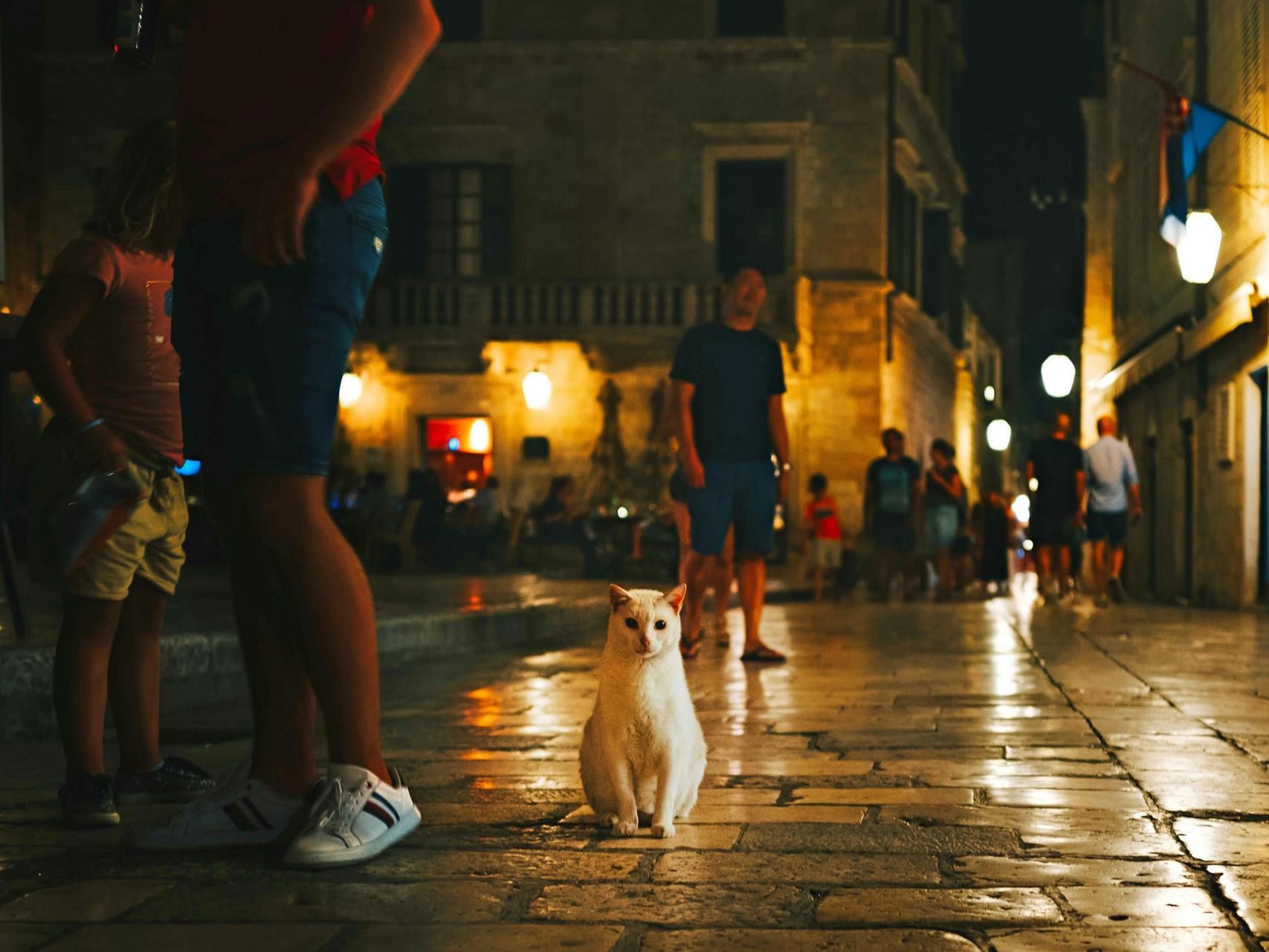Dubrovnik street at night