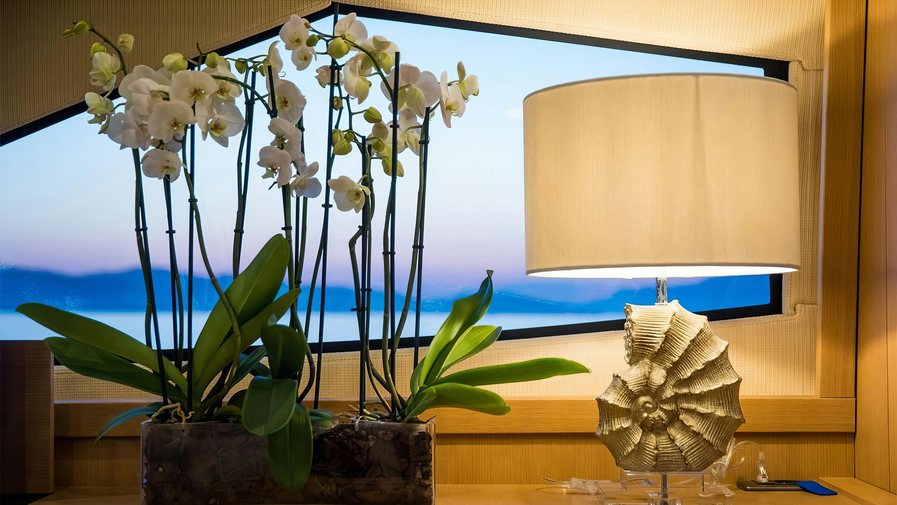 Interior Filippetti F76 image 20