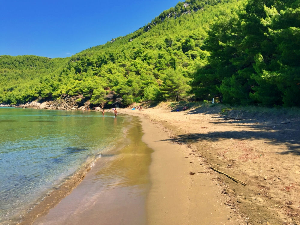 Pelješac article cover