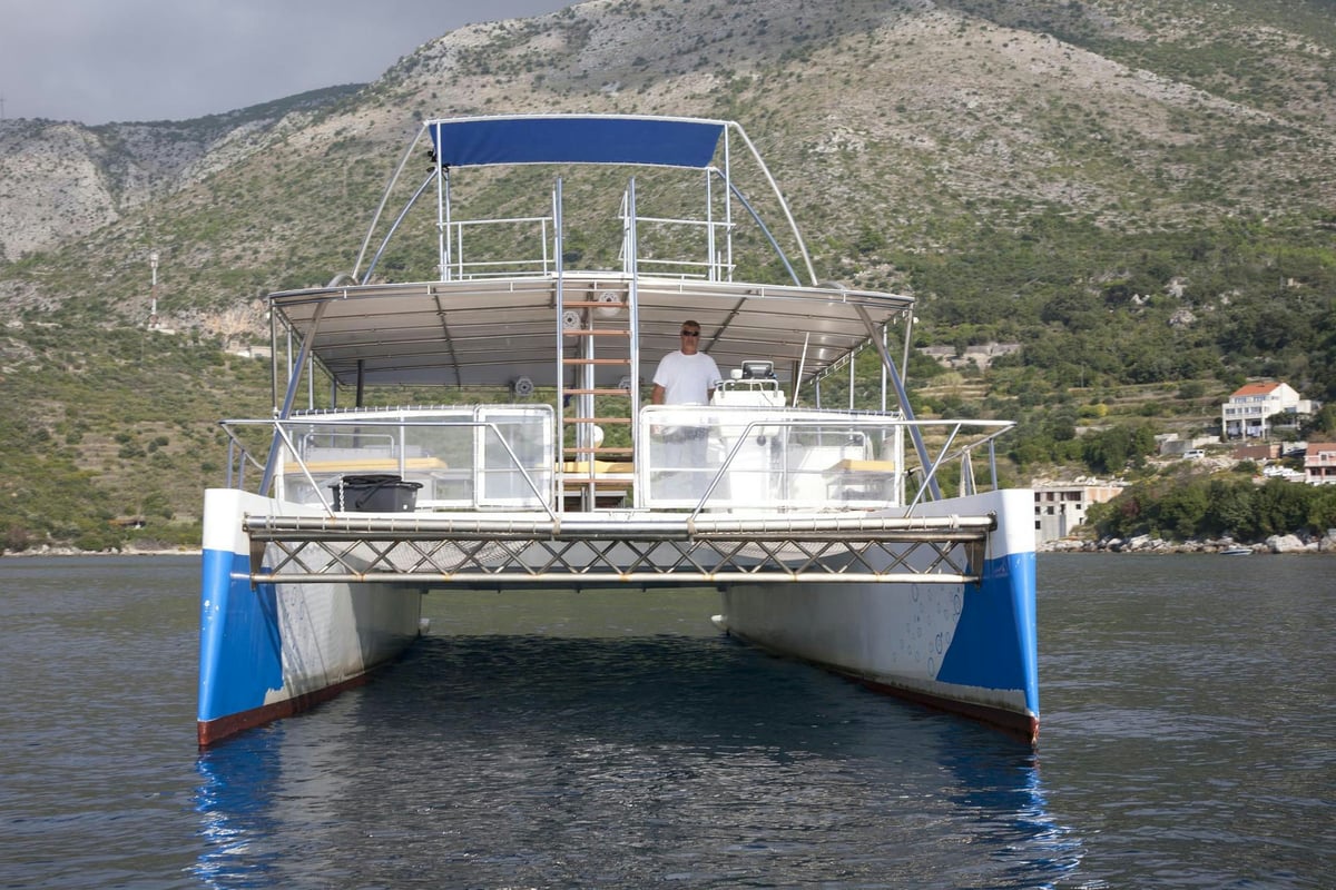 Exterior Day Catamaran 17 image 5