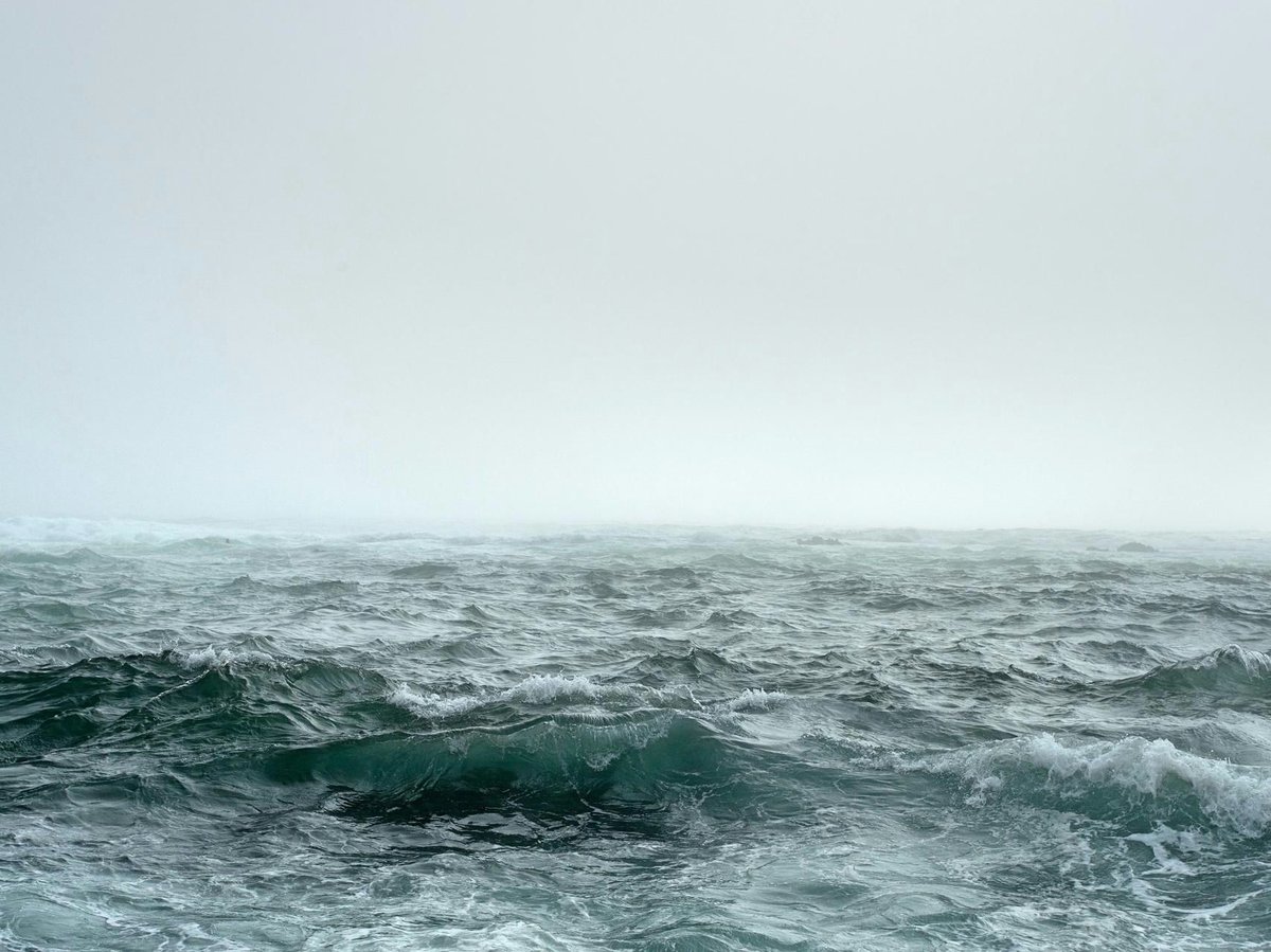 Adriatic winds inline image 4